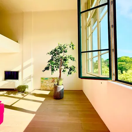 Spacious Loft In With Stunning View