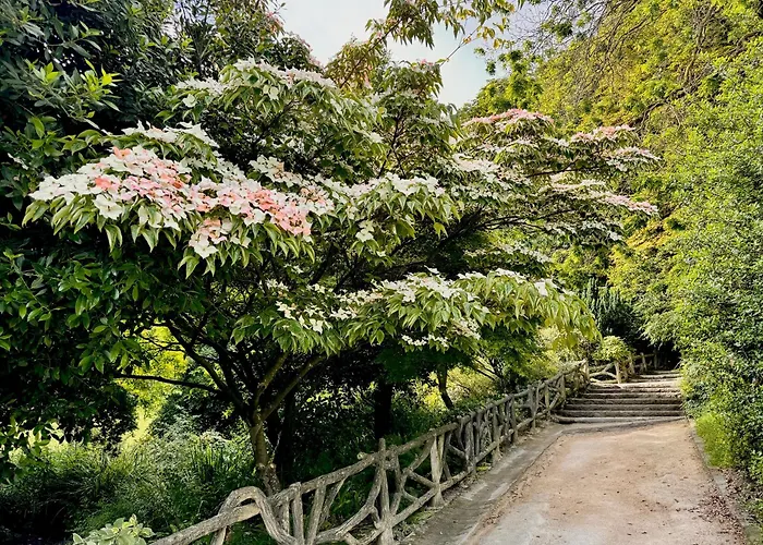 Spacious Loft In With Stunning View Apartment