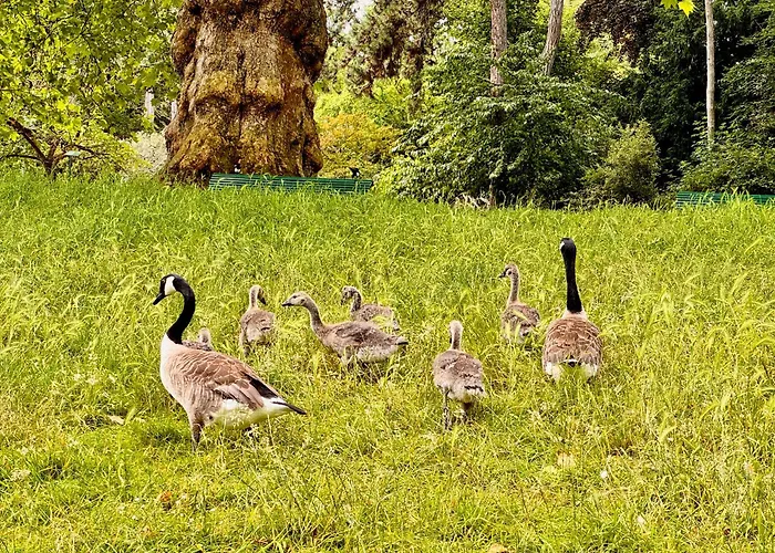Apartment Spacious Loft In With Stunning View Paris