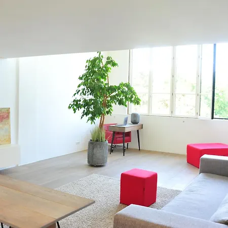 Spacious Loft In With Stunning View *