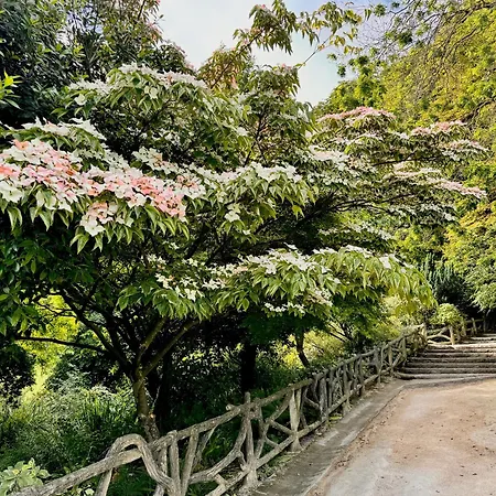 Spacious Loft In With Stunning View Appartement