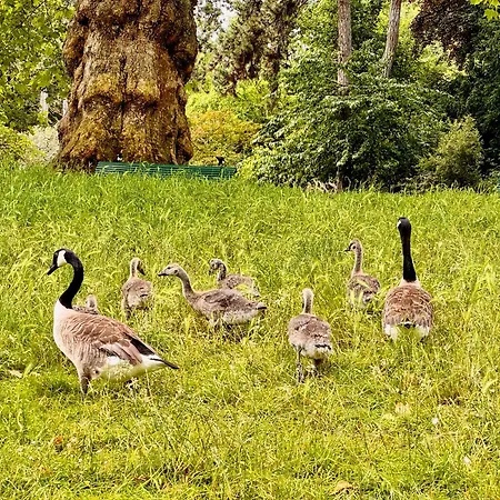 Appartement Spacious Loft In With Stunning View Parijs