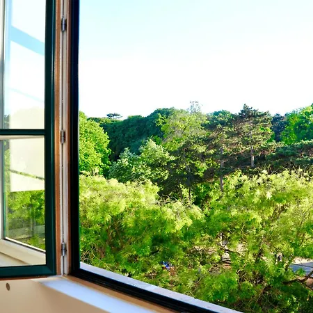 Spacious Loft In With Stunning View *